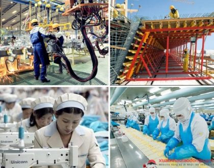 Top 10 ngành nghề lương cao, cơ hội thăng tiến tốt tại Việt Nam