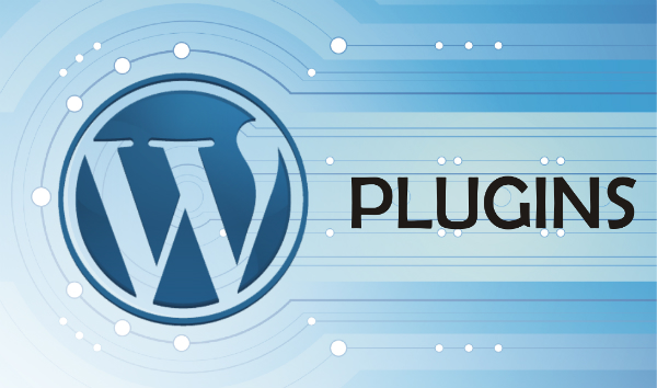 Plug-in là gì ? Các loại plug-in trong WordPress thường gặp